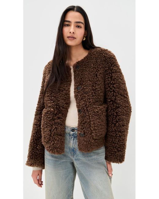 Lamarque Brown Emilia Jacket