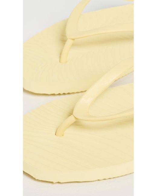 Sleeper Multicolor Tapered Flip Flops