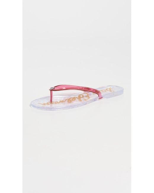 Sam Edelman Black Dean Jelly Flip Flops