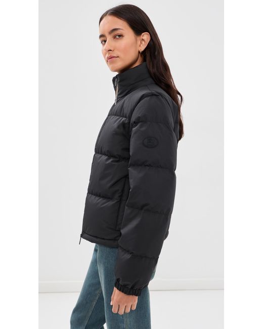 Burberry Black Ambleside Puffer Jacket