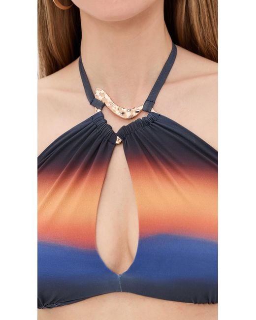 Nomads Blue Palm Bikini Top