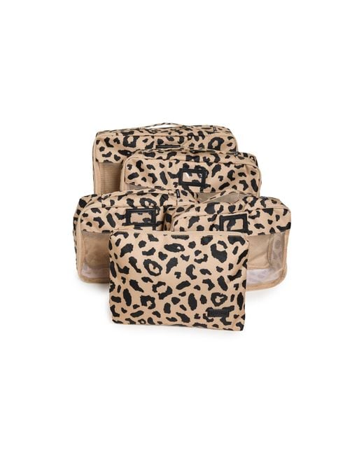 CALPAK White 5 Piece Packing Cube Set