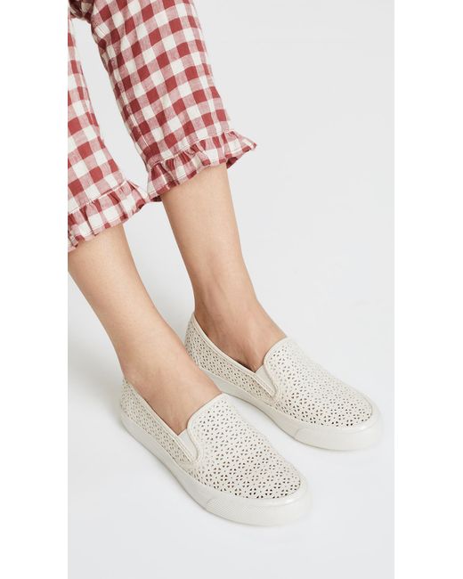 sperry backless sneakers