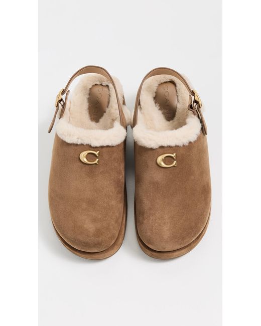 COACH White Sculpted C Suede Shearling Platform Clogs