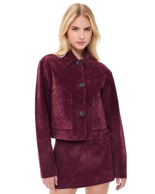 Blank NYC Red Wine O'Clock Jacket Wine O'Clock