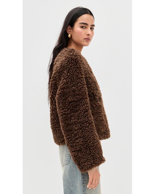 Lamarque Brown Emilia Jacket