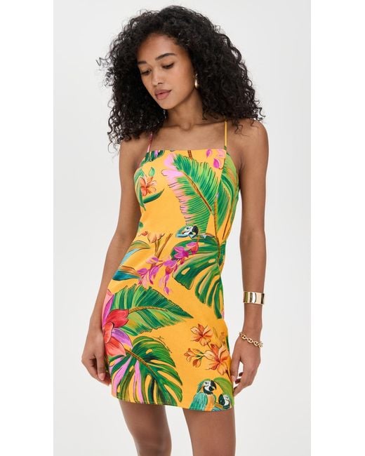 sachin and babi light blue dress FARM Rio Birds Singing Mini Dress in Orange