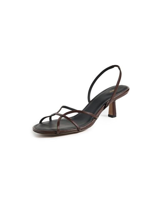 Neous Black Ibor Sandals