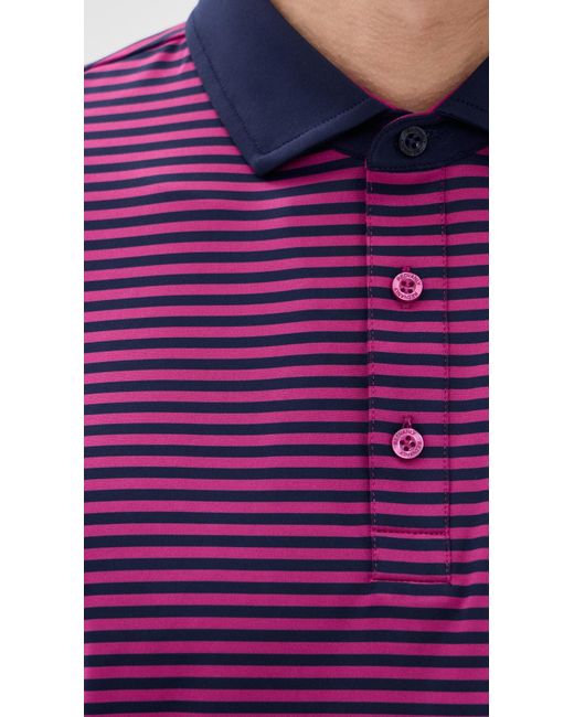 Redvanly Purple Baker Polo for men