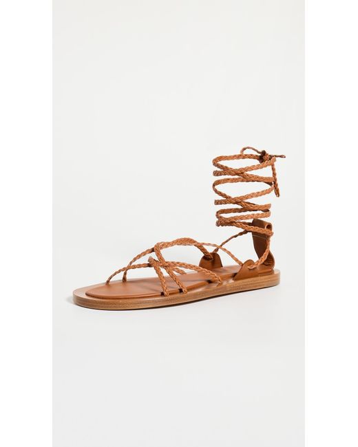 Co. Brown Rope Gladiator Sandals