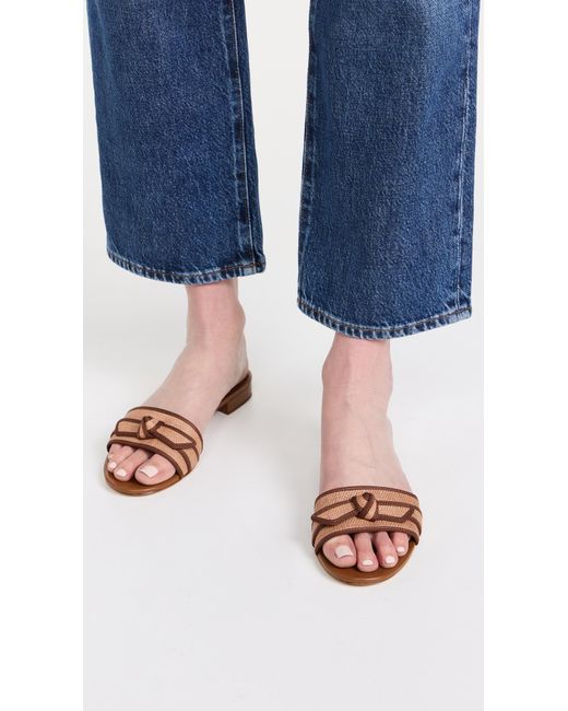 Alexandre Birman Multicolor Grosgrain Raffia Flats