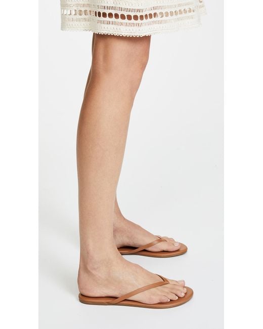 TKEES Multicolor Foundations Matte Flip Flops