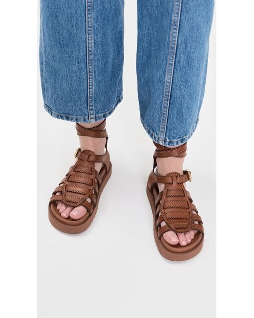 Zimmermann Goldie Gladiator Sandals in Brown | Lyst