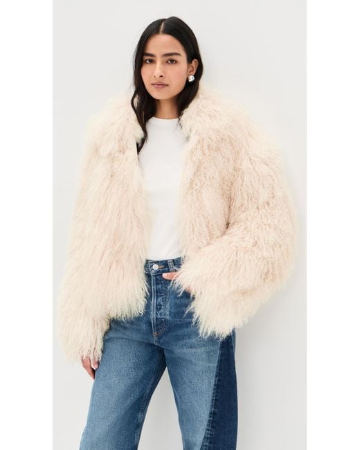 Lamarque Blue Bianca Jacket