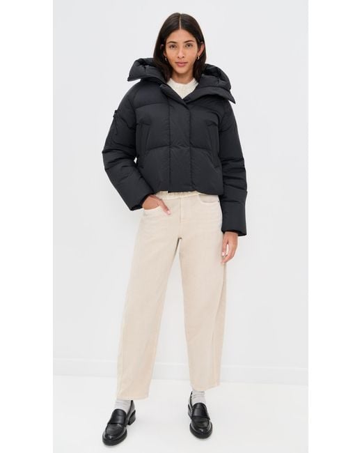 Canada Goose Black Chilliwack Puffer Jacket