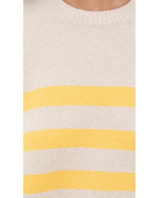 DAZE Multicolor Carlyle Sweater