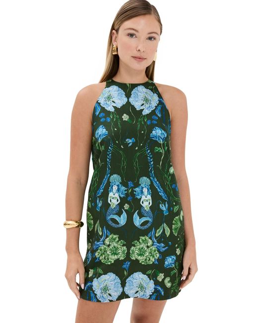 Isla & White Green Antheia Dress
