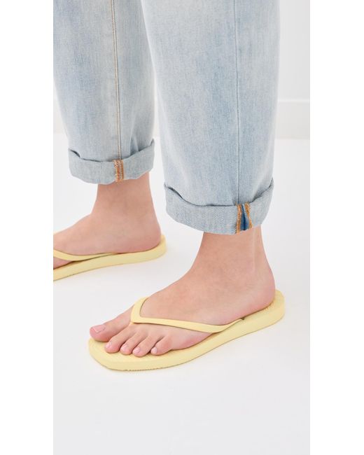 Sleeper Multicolor Tapered Flip Flops
