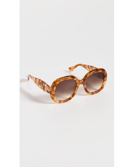 Krewe Multicolor Chloe Sunglasses