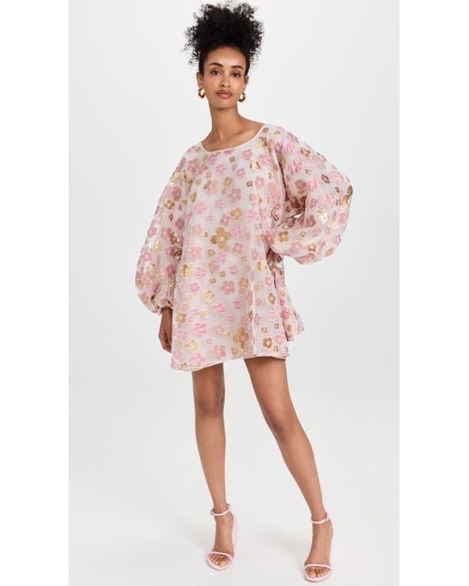 pink organza good luck dress Arianne Elmy Organza Good Luck Dress in Pink