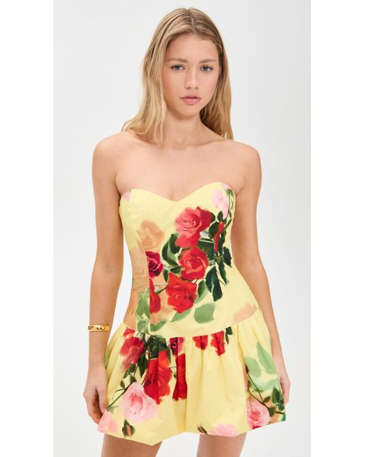 Cara Cara Red Elena Dress