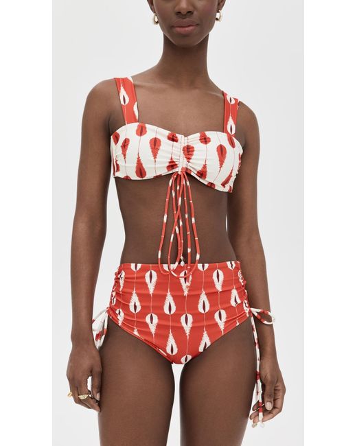 Palmacea Red Cassandra Top