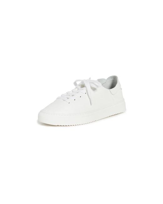 circus by sam edelman white sneakers