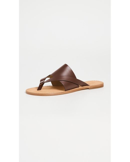 Alohas Brown Eugene Leather Sandals