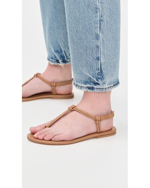 Jamie Haller Black The Knot Sandals