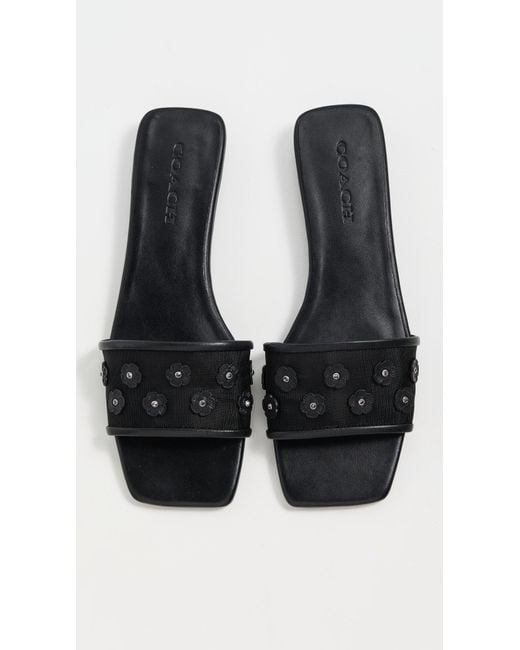 COACH Black Tea Rose Flat Sandals