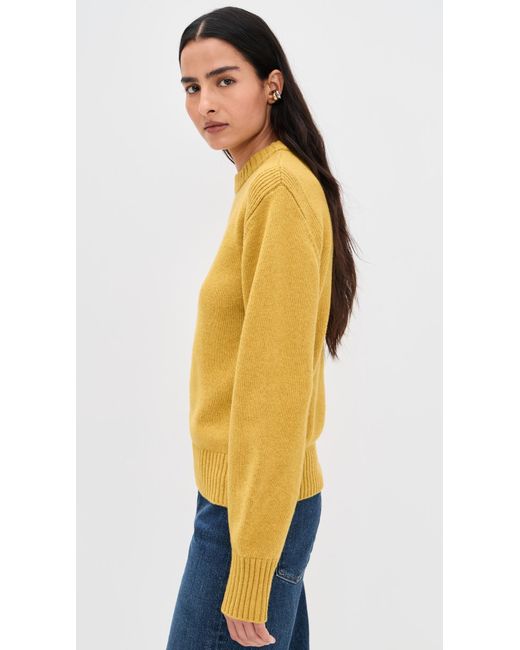 ALIGNE Orange Dion Knitted Sweater