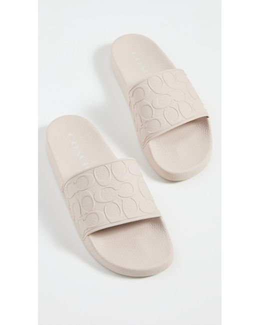 COACH Signature Pool Slides in Blue Lyst