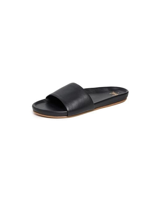 Beek Black Gallito Slides