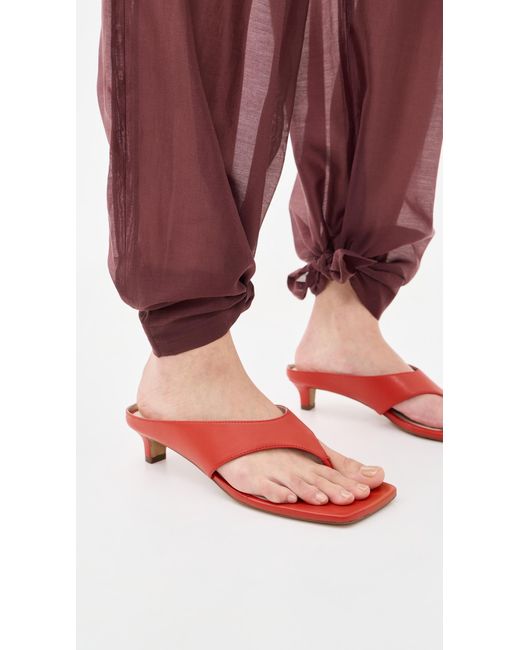INTENTIONALLY ______ Red Year Ahead Sandals
