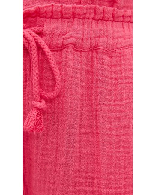 Xirena Pink Starla Shorts