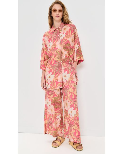 Z Supply Pink Dante Barra Tropic Pants