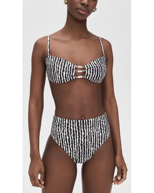 Palmacea Multicolor Sua Bikini Bottoms