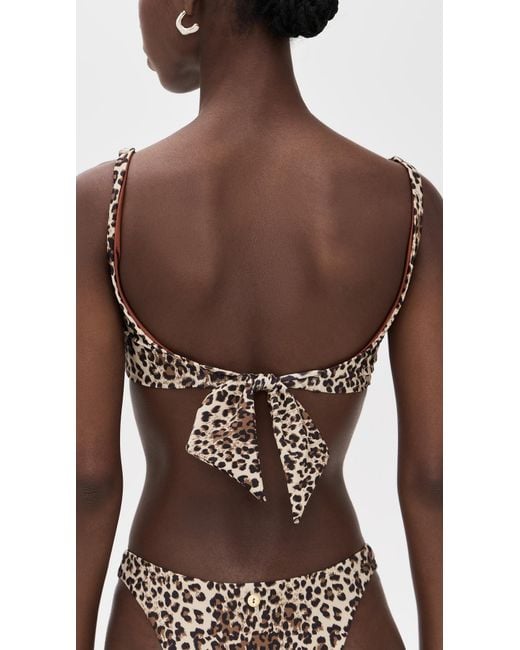 Palmacea Brown Thani Top