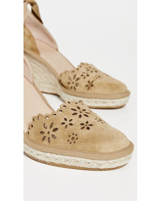 ヴェロニカ ベアード Veronica レディース Beard