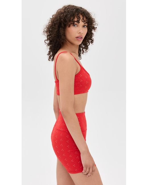 Strut-this Red The Cher Bra
