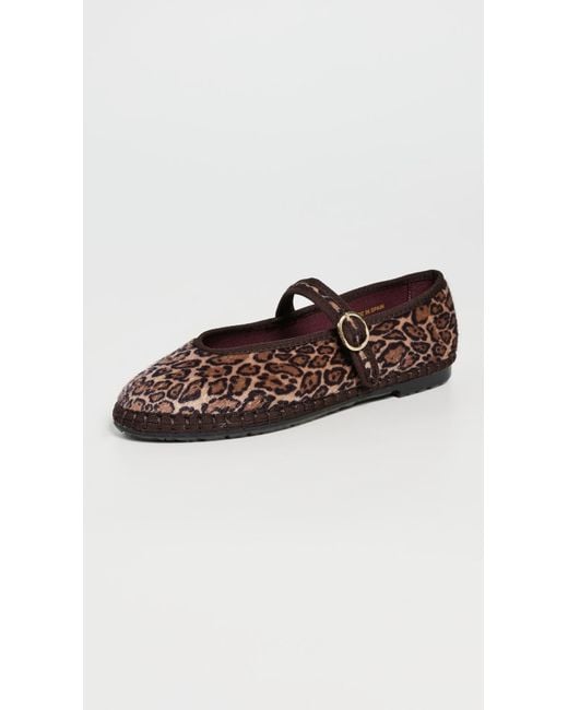Flabelus Brown Pierre Flats