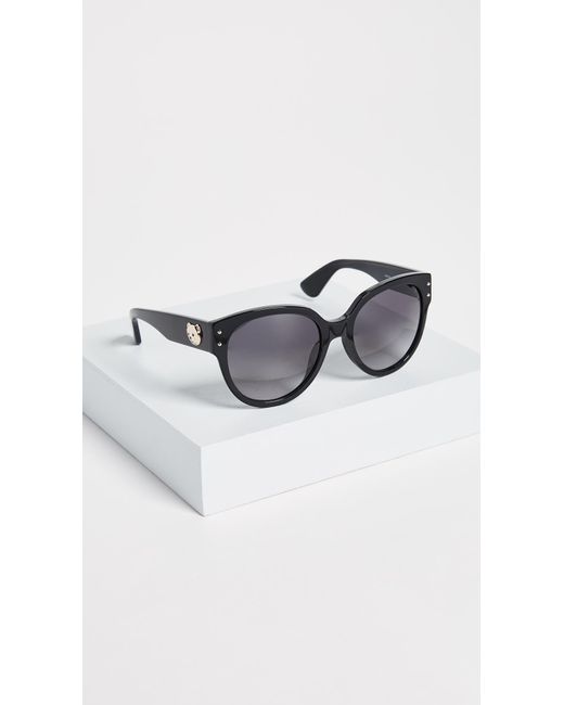 MOSCHINO SIGNATURE LOGO TEDDYBEAR 56MM SUNGLASSES Moschino bear cat eye sunglasses in black | ASOS main image 3