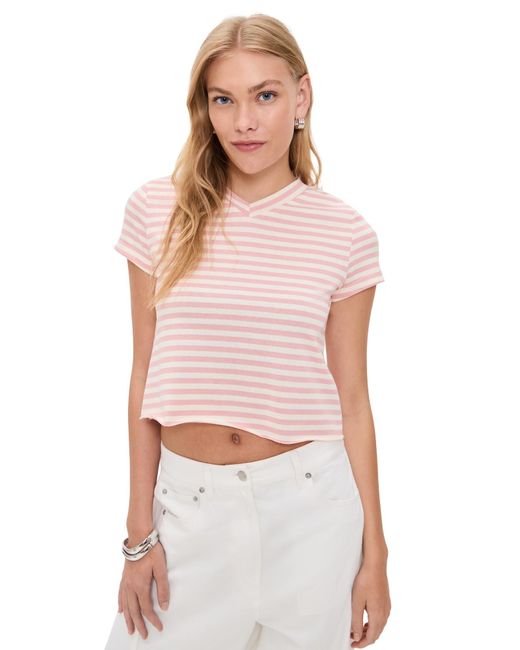Lioness Multicolor North Light Tee