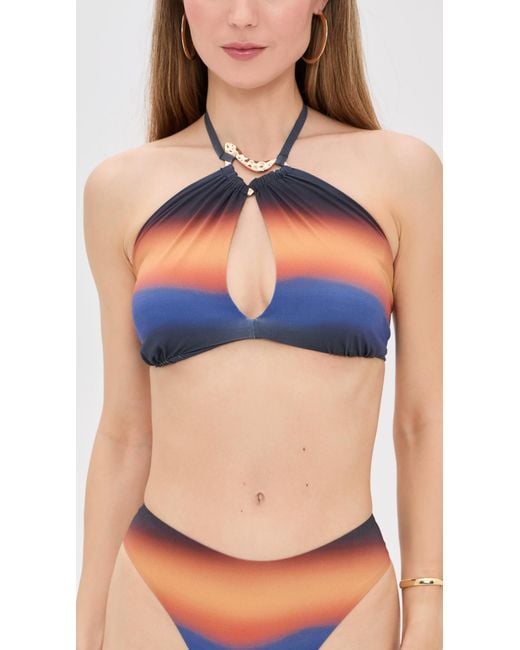 Nomads Blue Palm Bikini Top
