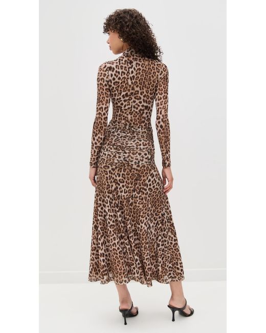 Bardot Natural Lea Printed Mesh Midi Dress