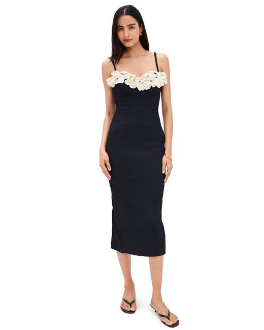 PATBO Blue Breeze Jacquard Colorblock Midi Dress