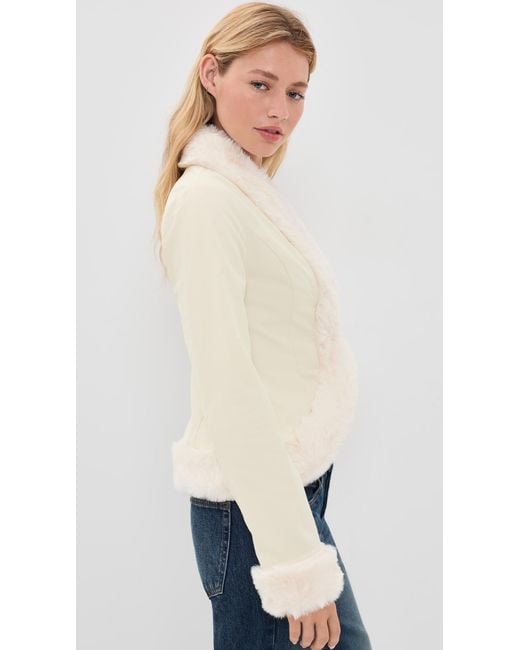 Lioness Blue Dynasty Jacket