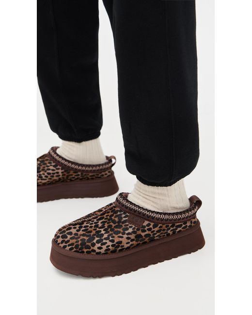 Ugg Brown Tazz Caspian Slippers