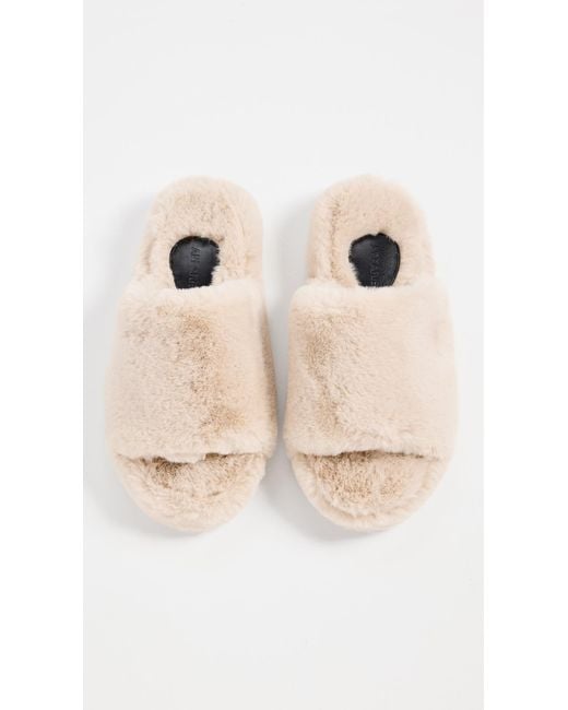 Apparis Multicolor Dillon Slide