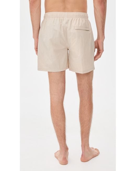 AUTO-REPLY Multicolor Solid Sebastian Swim Trunks 6 for men